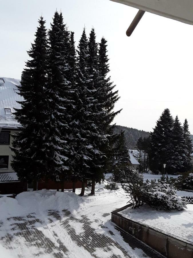 Fewo Haude Braunlage Exteriör bild